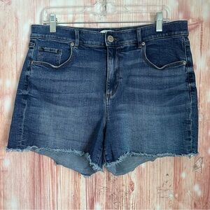 Loft Outlet Blue Frayed Hem 4” Denim Shorts Size 12